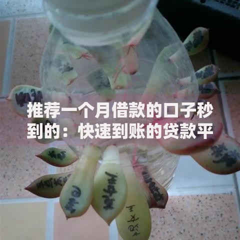 推荐一个月借款的口子秒到的：快速到账的贷款平台解析