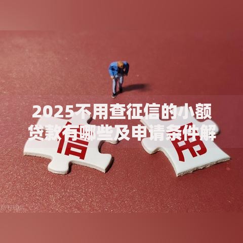 2025不用查征信的小额贷款有哪些及申请条件解析