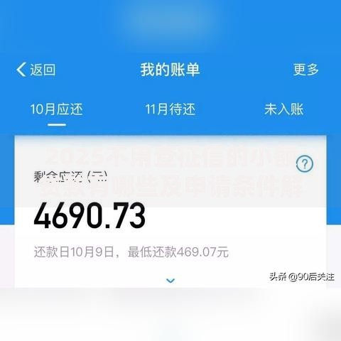 2025不用查征信的小额贷款有哪些及申请条件解析