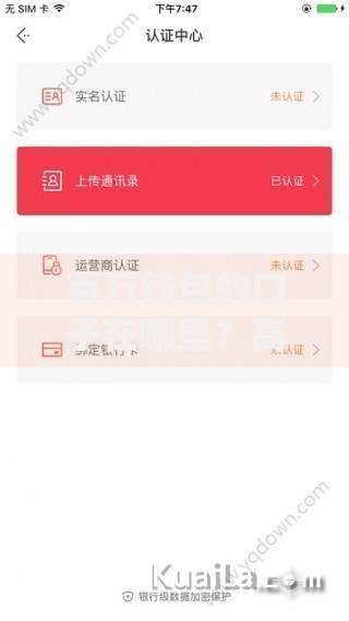 百万钱包的口子在哪里？高额贷款申请攻略解析