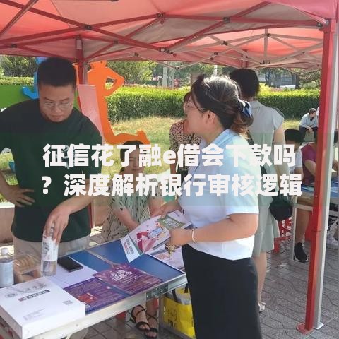 征信花了融e借会下款吗？深度解析银行审核逻辑