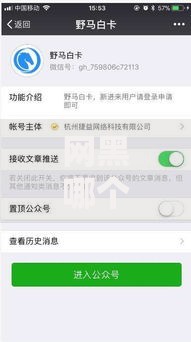 网黑哪个口子能下款？如何申请？详解网贷申请流程与风险