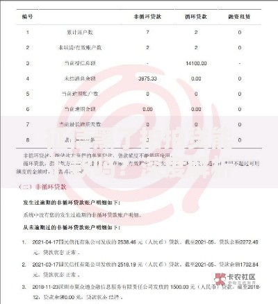征信黑了拍拍贷能下款吗？深度解析补救方案