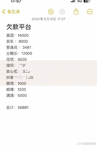 负债太多哪个网贷能批下来2025？最新审核宽松平台解析