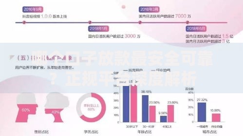 哪个口子放款最安全可靠？正规平台深度解析