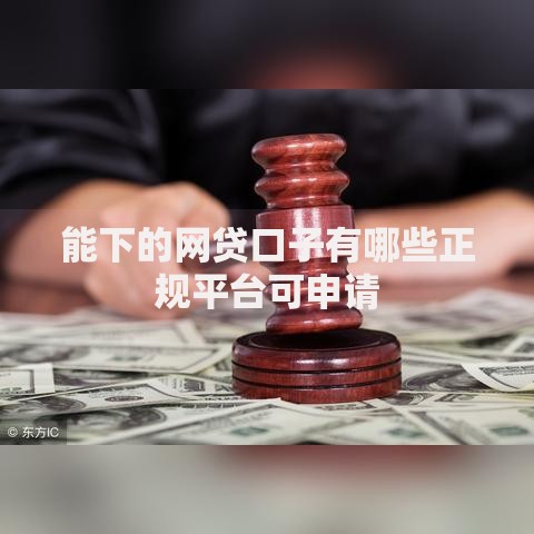能下的网贷口子有哪些正规平台可申请