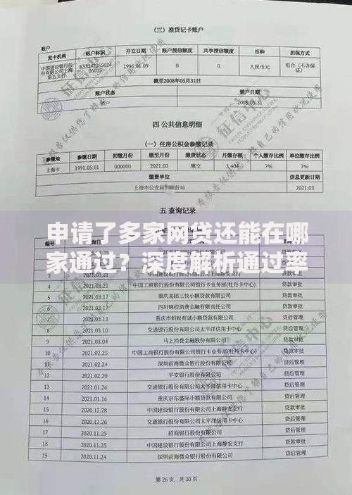 申请了多家网贷还能在哪家通过？深度解析通过率高的平台