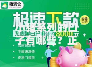 小猪系列的口子有哪些？正规贷款产品深度解析