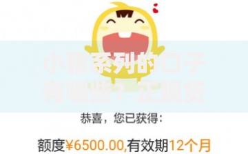 小猪系列的口子有哪些？正规贷款产品深度解析