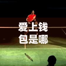 爱上钱包是哪个系列口子？正规贷款平台深度解析