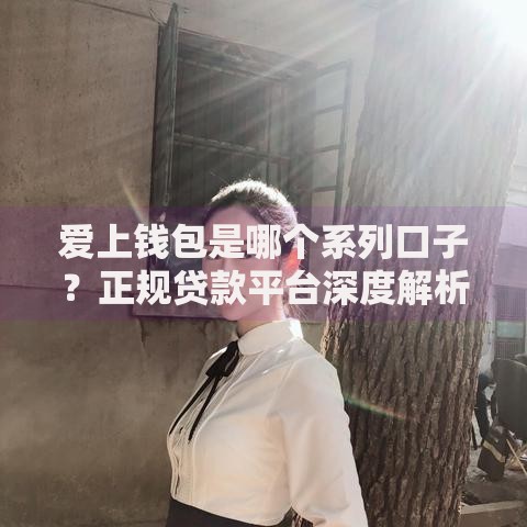 爱上钱包是哪个系列口子？正规贷款平台深度解析