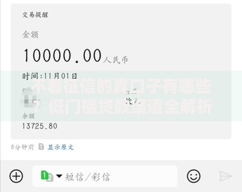 不看征信的真口子有哪些？低门槛贷款渠道全解析