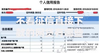 不看征信直接下款的网贷有哪些？最新平台解析与申请攻略