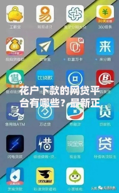 花户下款的网贷平台有哪些？最新正规渠道推荐