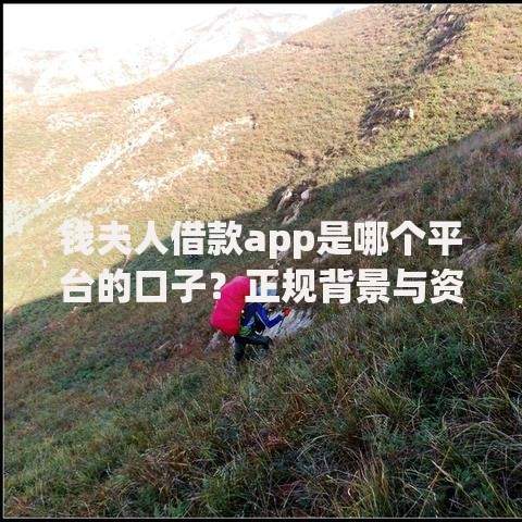 钱夫人借款app是哪个平台的口子？正规背景与资质详解