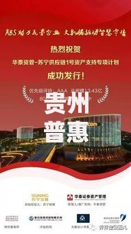 贵州普惠贷款成功落地助力小微经济振兴