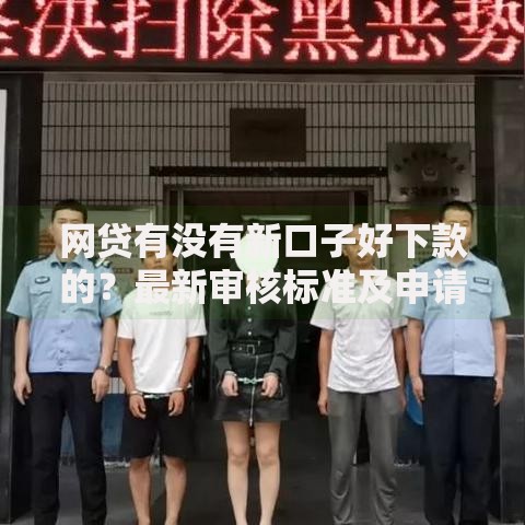 网贷有没有新口子好下款的？最新审核标准及申请技巧解析