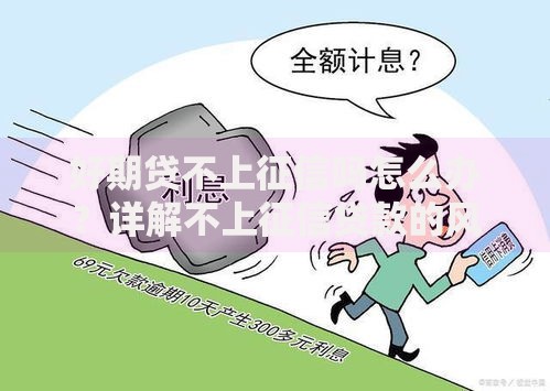 好期贷不上征信吗怎么办？详解不上征信贷款的风险与应对策略