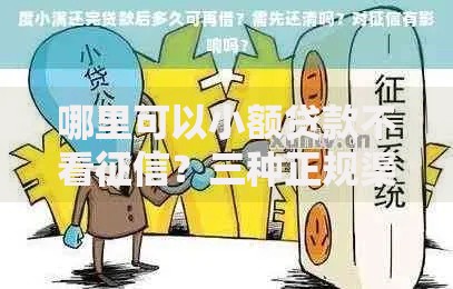 哪里可以小额贷款不看征信？三种正规渠道详解