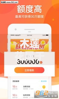 木莲花属于哪个系列口子？贷款产品深度解析指南