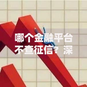 哪个金融平台不查征信？深度解析与权威指南