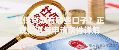 社保贷款有哪些口子？正规渠道与申请条件详解