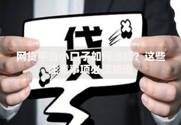 网贷平台小口子如何选择？这些注意事项必须知道