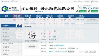 网上借钱哪个平台比较好？正规网贷平台选择指南