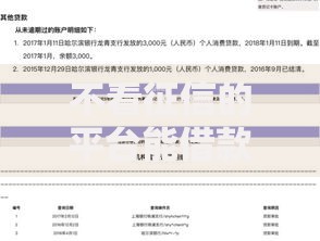 不看征信的平台能借款吗？真实情况深度解析