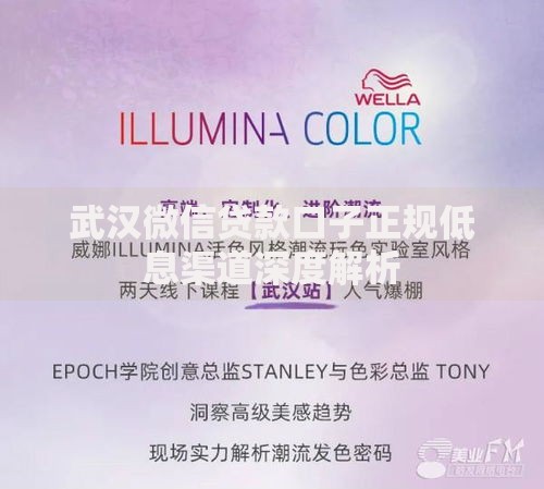 武汉微信贷款口子正规低息渠道深度解析