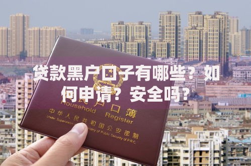 贷款黑户口子有哪些？如何申请？安全吗？