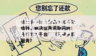 信用差哪个平台可以借款？解决方案深度解析