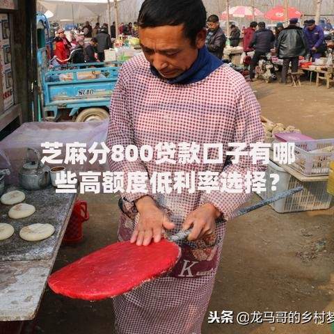 芝麻分800贷款口子有哪些高额度低利率选择？