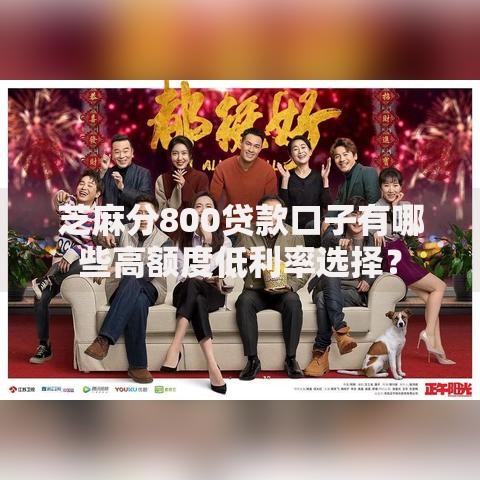 芝麻分800贷款口子有哪些高额度低利率选择？