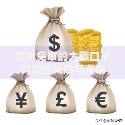 放水免审的大额口子有哪些风险与真相