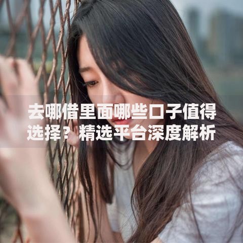 去哪借里面哪些口子值得选择？精选平台深度解析