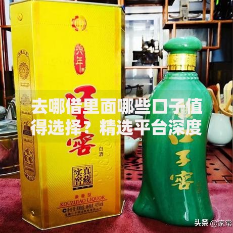 去哪借里面哪些口子值得选择？精选平台深度解析