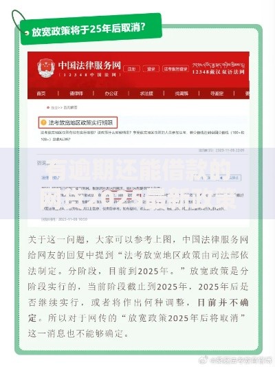 有逾期还能借款的网贷2025最新政策解析