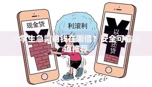 大学生急需用钱在哪借？安全可靠渠道推荐