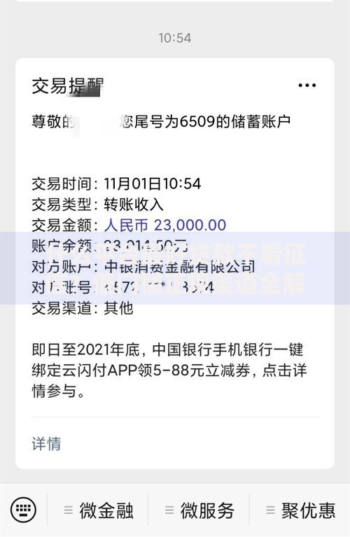 什么平台最好贷款不看征信？低门槛正规渠道全解析