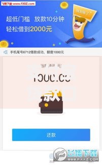 支付宝贷款口子1000：快速借款攻略与风险解析