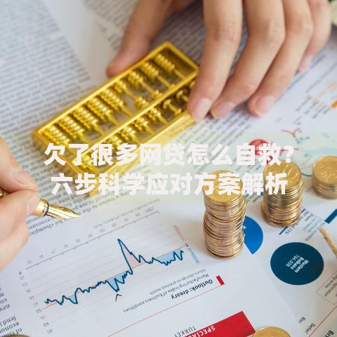 欠了很多网贷怎么自救？六步科学应对方案解析