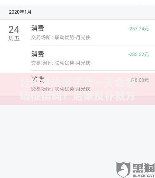公积金逾期还款一天会影响征信吗?后果及补救方法解析 公积金逾期还款一天会影响征信吗?后果及补救方法解析