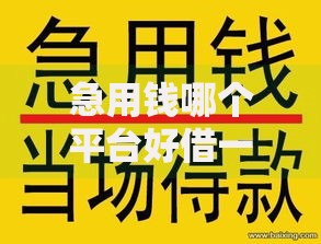 急用钱哪个平台好借一点?正规低息平台推荐及申请攻略 急用钱哪个平台好借一点?正规低息平台推荐及申请攻略