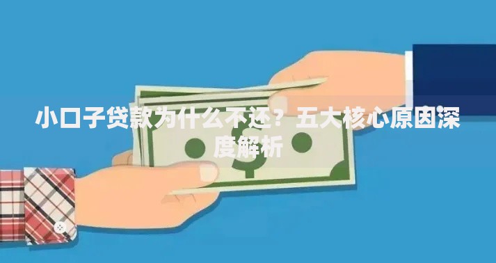 小口子贷款为什么不还？五大核心原因深度解析