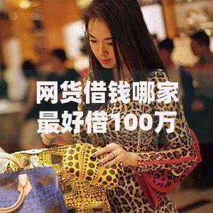 网货借钱哪家最好借100万?权威解析平台选择与流程指南 网货借钱哪家最好借100万?权威解析平台选择与流程指南