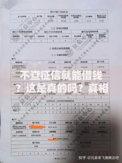 不查征信就能借钱？这是真的吗？真相与风险深度解析