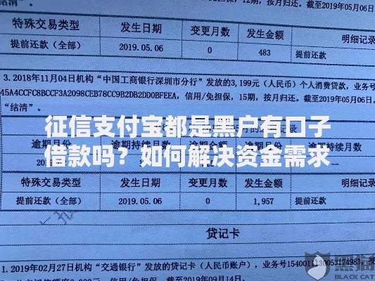 征信支付宝都是黑户有口子借款吗？如何解决资金需求