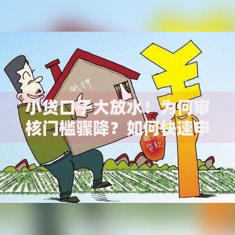小贷口子大放水！为何审核门槛骤降？如何快速申请低息贷款