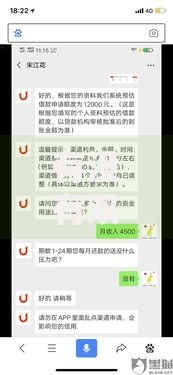 有没有双黑可以下款的口子？最新申请渠道深度解析
